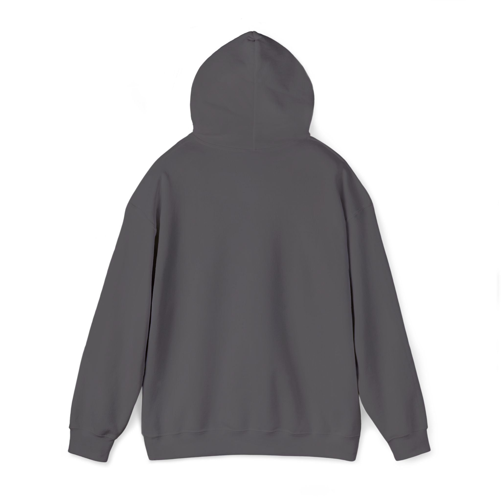 Original wheel hoodie - minimalistic